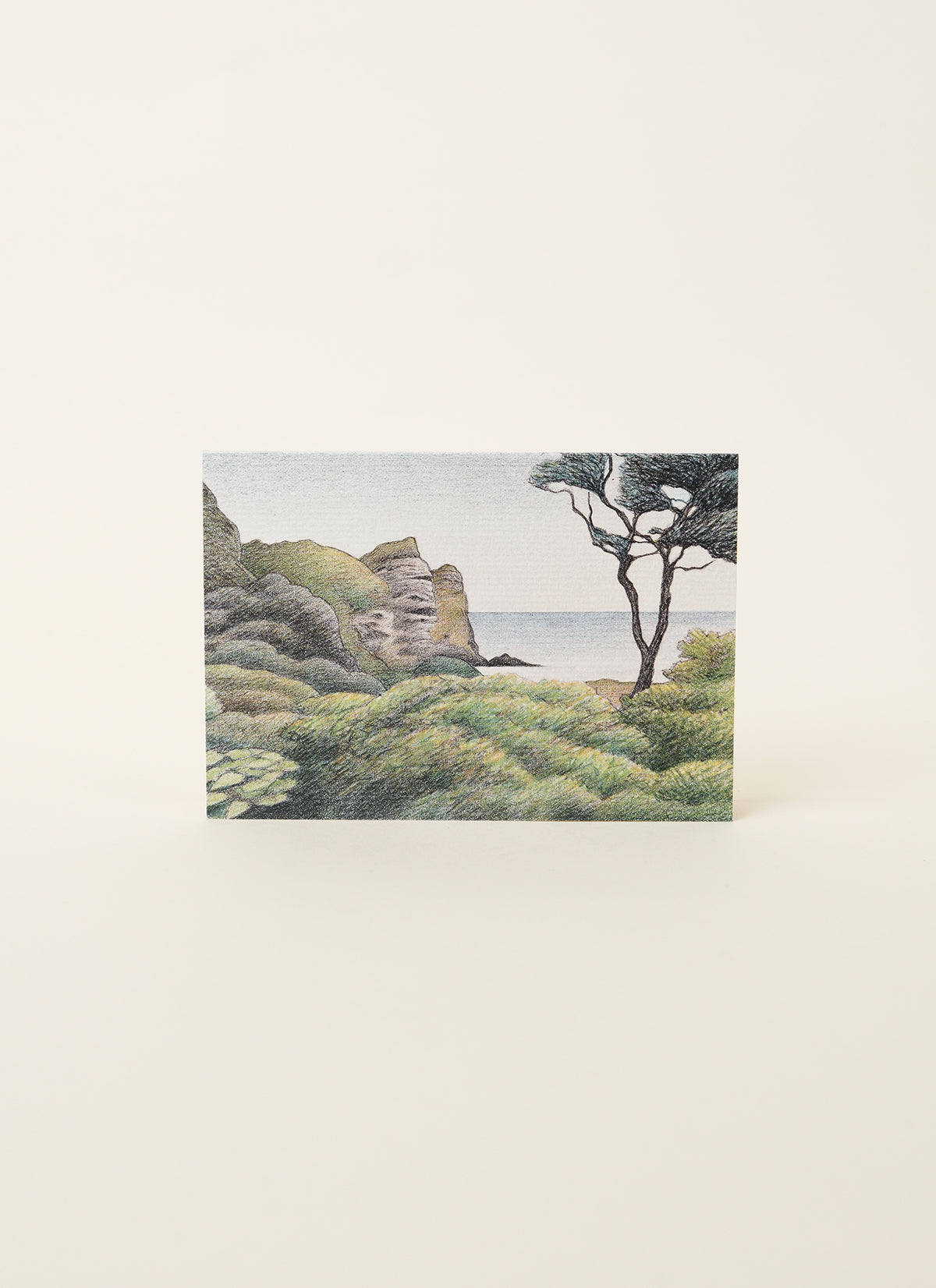 Cards – Te Uru
