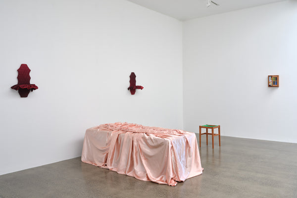 Claudia Kogachi, Ming Ranginui, Erica van Zon | Soft Spot exhibition photo