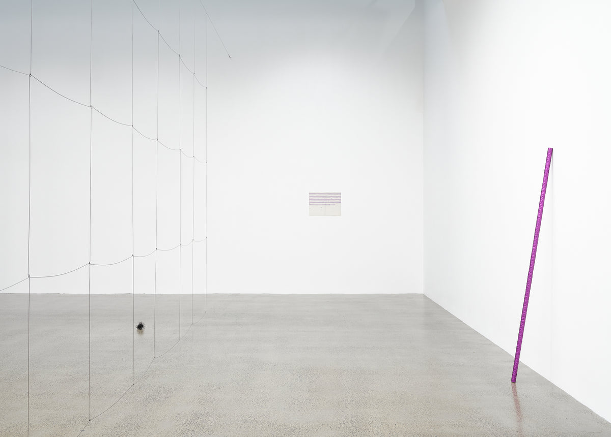 Giorgio Griffa, Peter Robinson | Differences in kind and rhythm exhibition photo