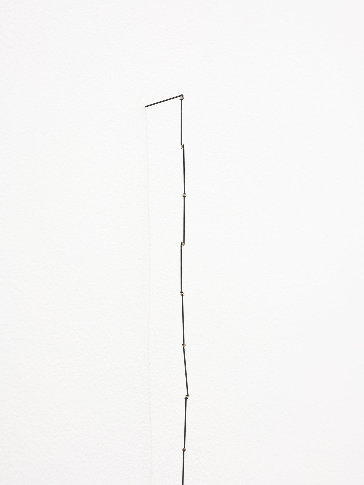 Giorgio Griffa, Peter Robinson | Differences in kind and rhythm exhibition photo