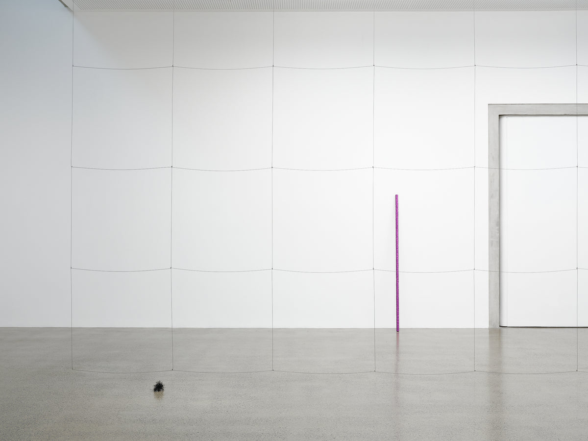 Giorgio Griffa, Peter Robinson | Differences in kind and rhythm exhibition photo