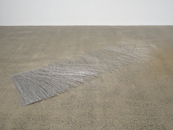 Giorgio Griffa, Peter Robinson | Differences in kind and rhythm exhibition photo