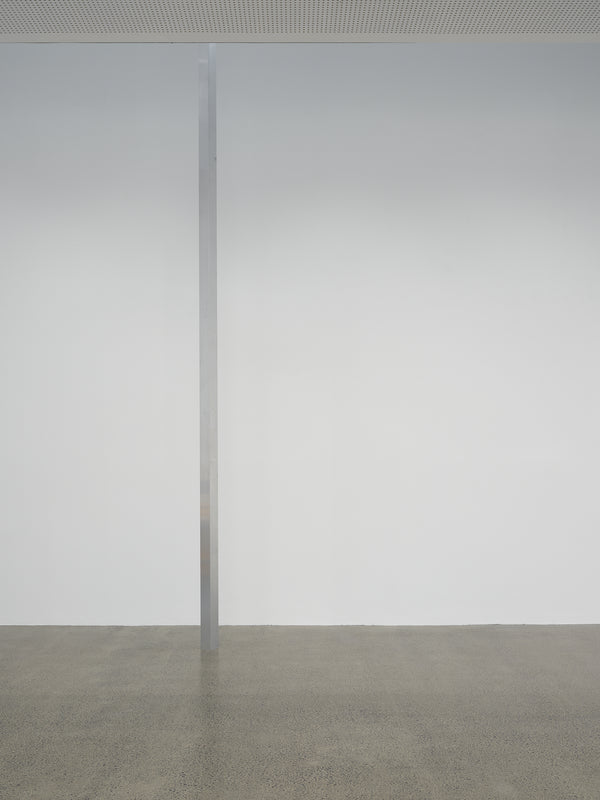 Giorgio Griffa, Peter Robinson | Differences in kind and rhythm exhibition photo