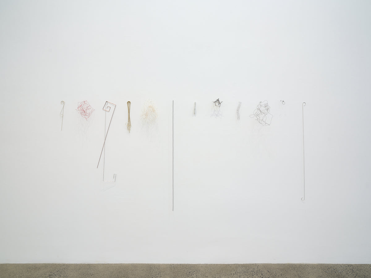 Giorgio Griffa, Peter Robinson | Differences in kind and rhythm exhibition photo