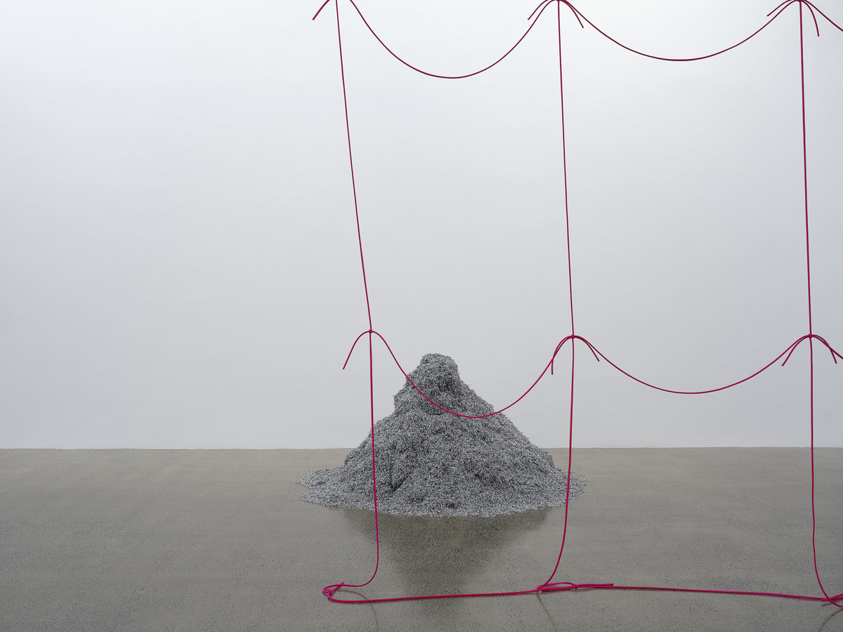 Giorgio Griffa, Peter Robinson | Differences in kind and rhythm exhibition photo