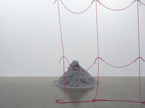 Giorgio Griffa, Peter Robinson | Differences in kind and rhythm exhibition photo