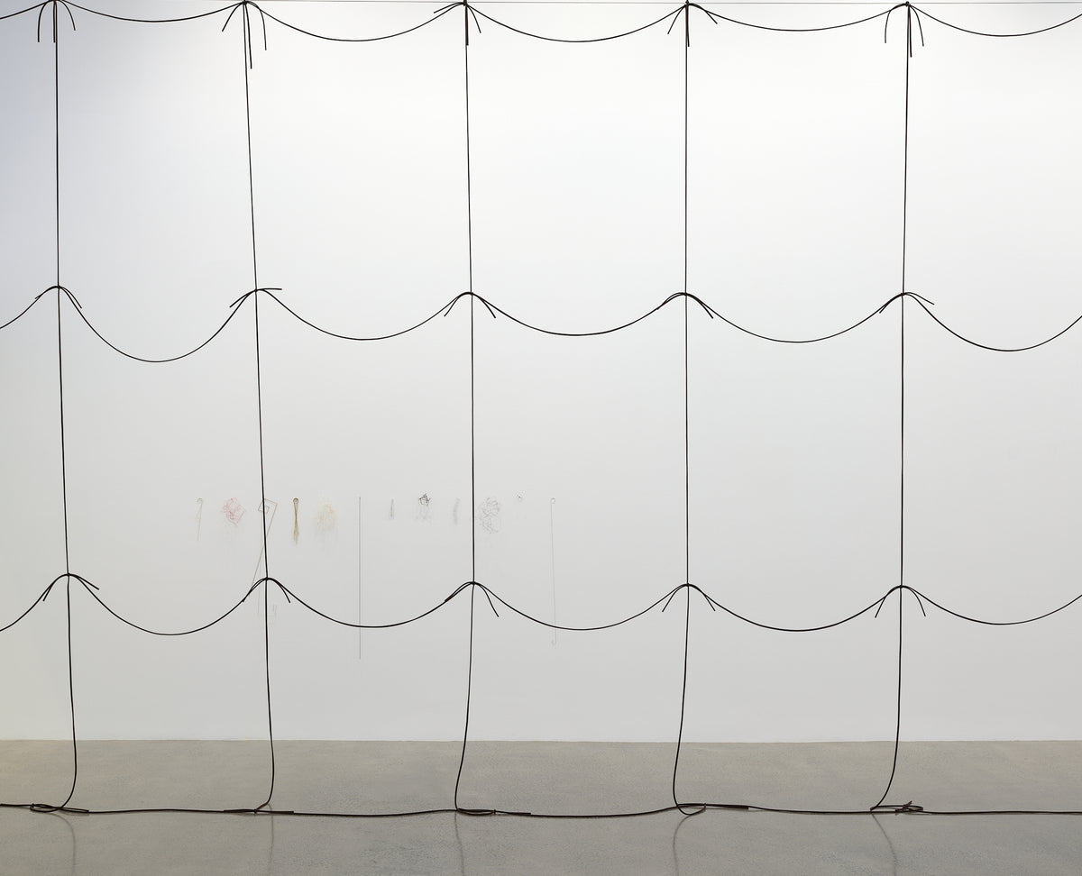 Giorgio Griffa, Peter Robinson | Differences in kind and rhythm exhibition photo