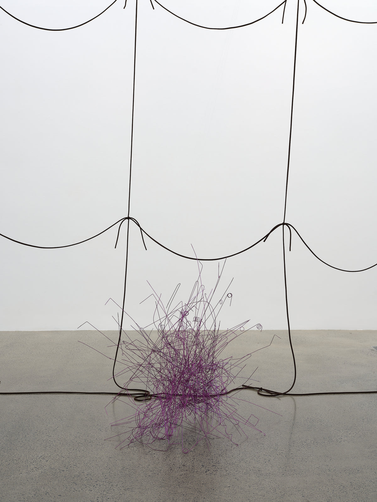 Giorgio Griffa, Peter Robinson | Differences in kind and rhythm exhibition photo