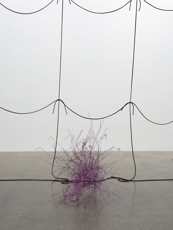 Giorgio Griffa, Peter Robinson | Differences in kind and rhythm exhibition photo