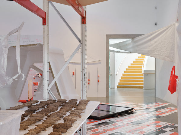 Justene Williams: Making Do Rhymes With Poo exhibition photo