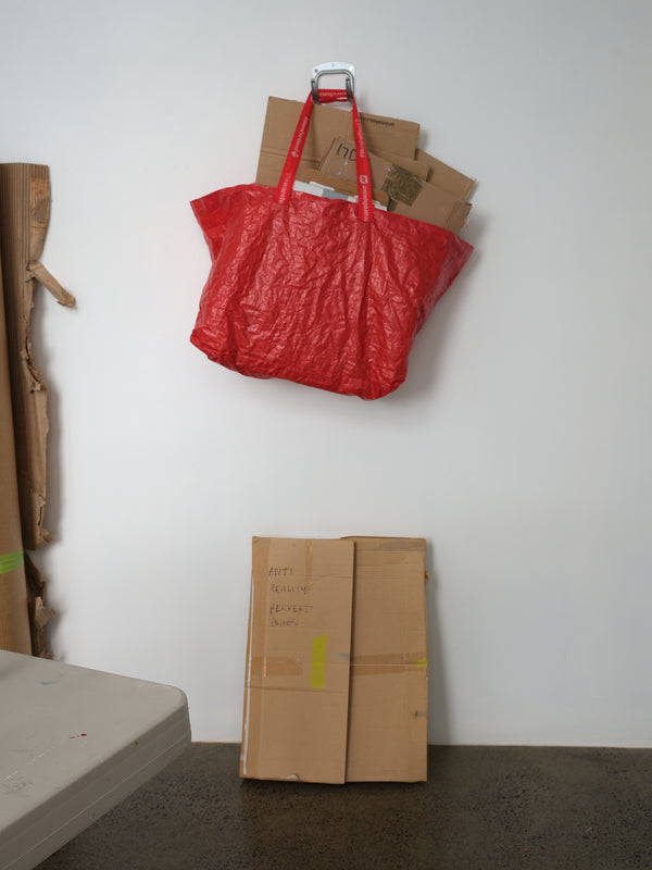 Justene Williams: Making Do Rhymes With Poo exhibition photo