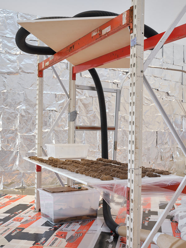 Justene Williams: Making Do Rhymes With Poo exhibition photo