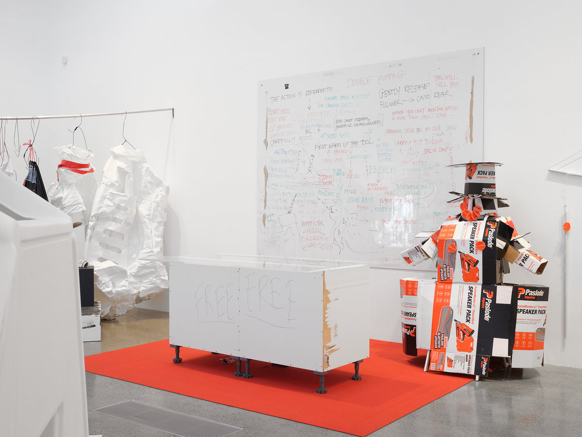 Justene Williams: Making Do Rhymes With Poo exhibition photo