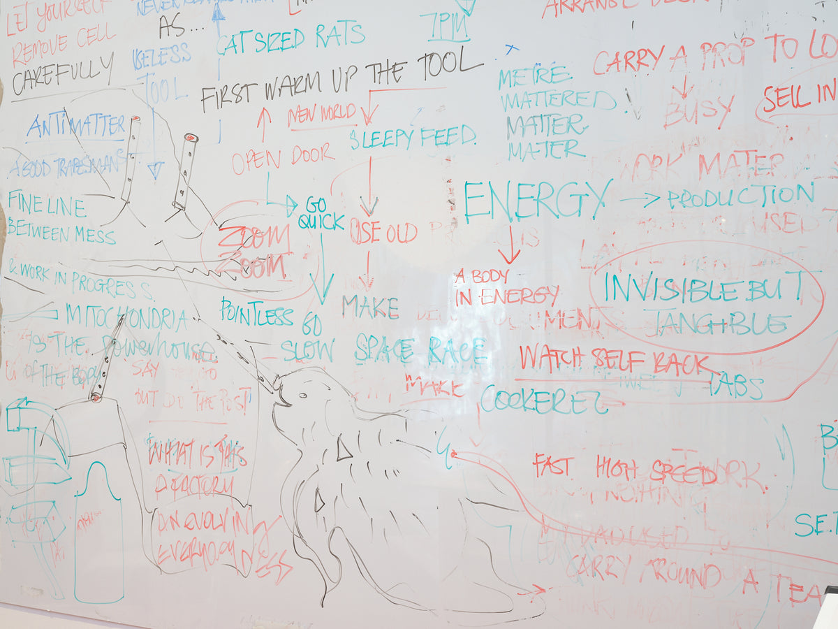 Justene Williams: Making Do Rhymes With Poo exhibition photo