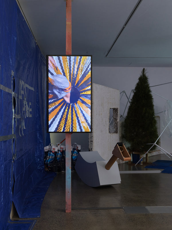 Justene Williams: Making Do Rhymes With Poo exhibition photo