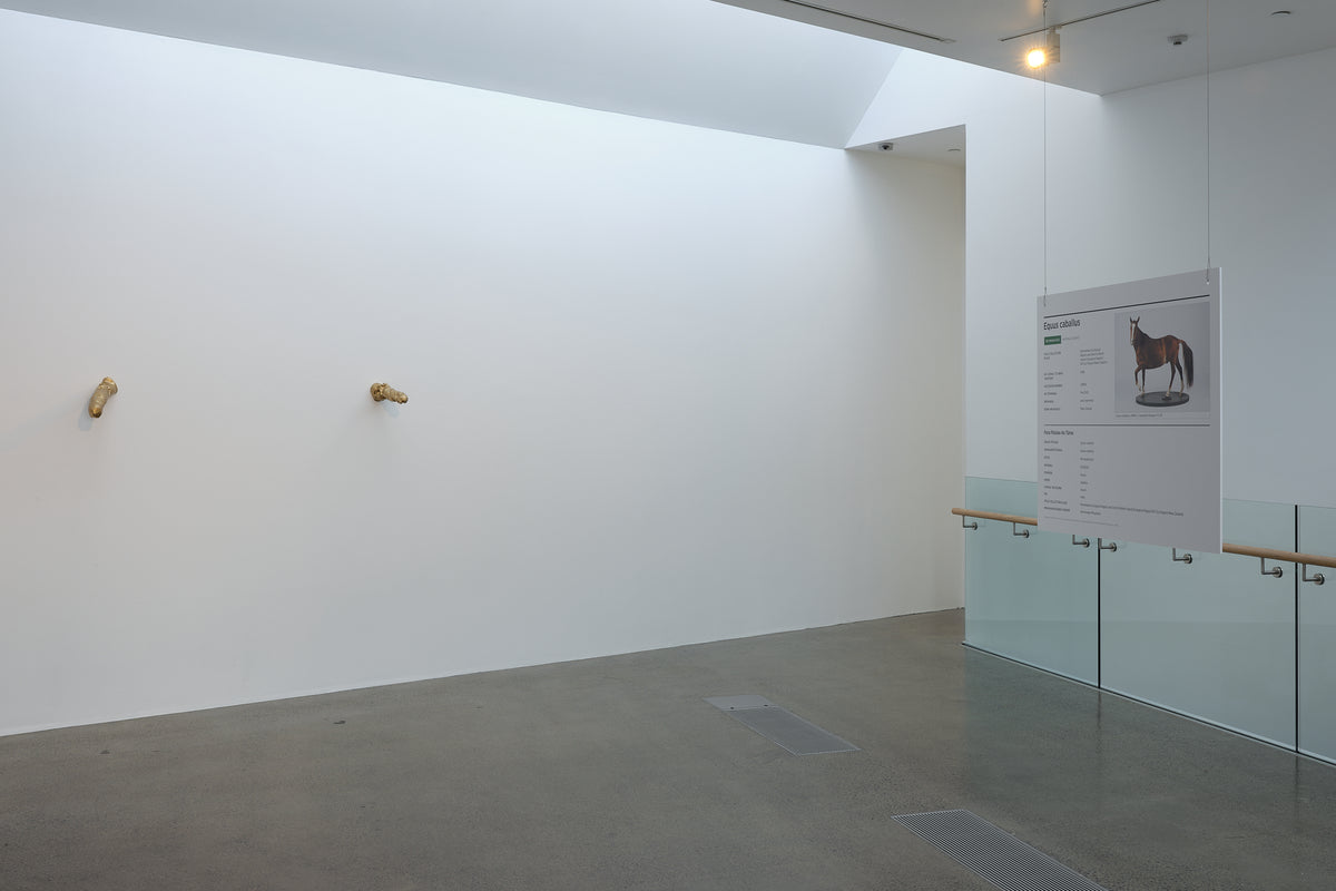 Rehutai exhibition photo