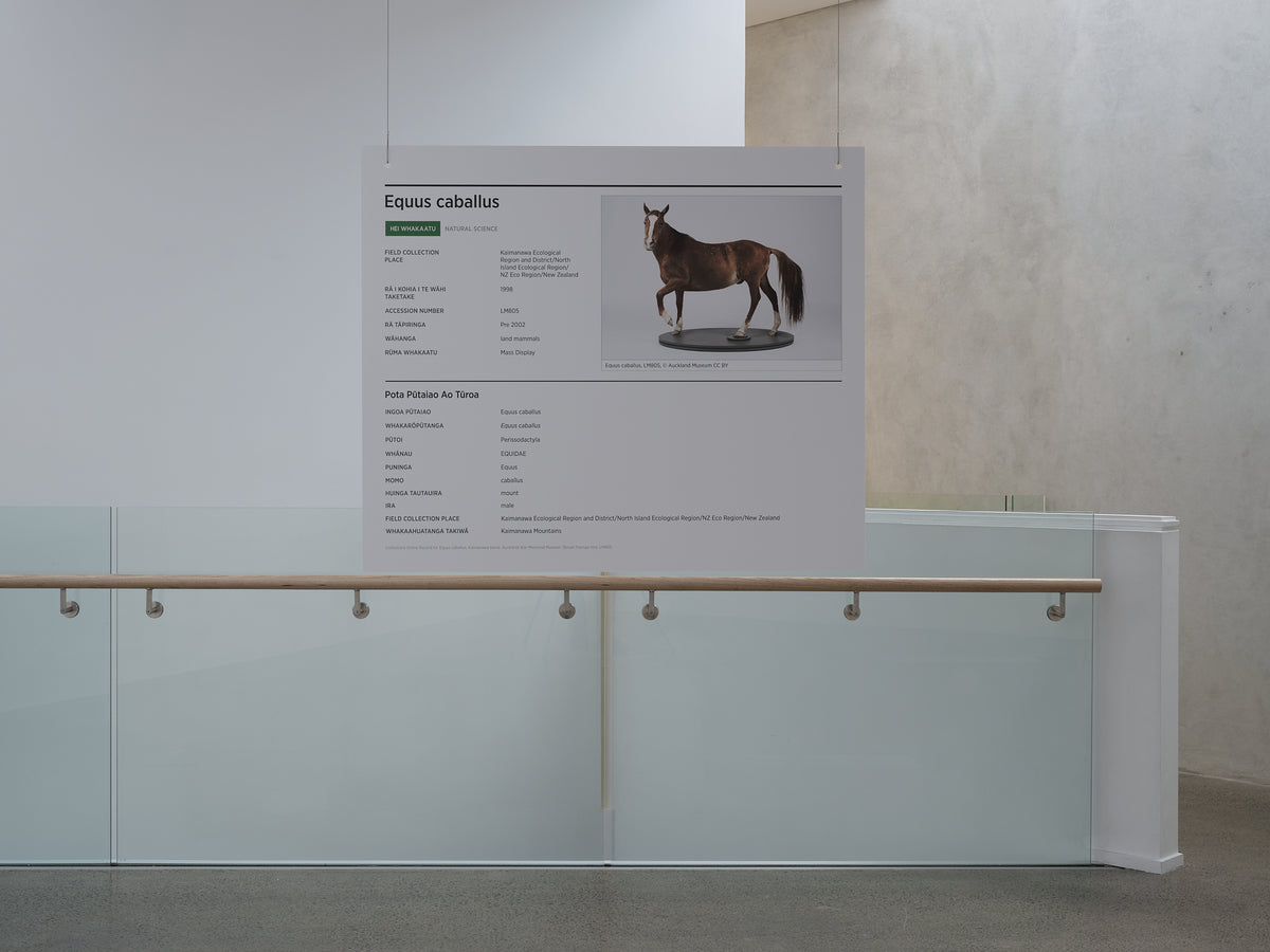 Rehutai exhibition photo