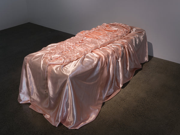 Claudia Kogachi, Ming Ranginui, Erica van Zon | Soft Spot exhibition photo