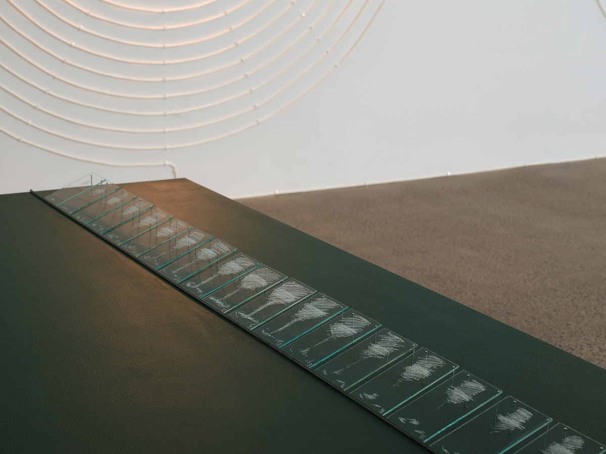 Bill Culbert: Blue Cloud, Green Waterfall exhibition photo