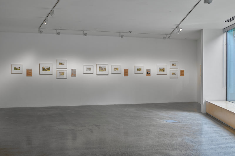 Don Binney: Drawing the Waitākere Coast