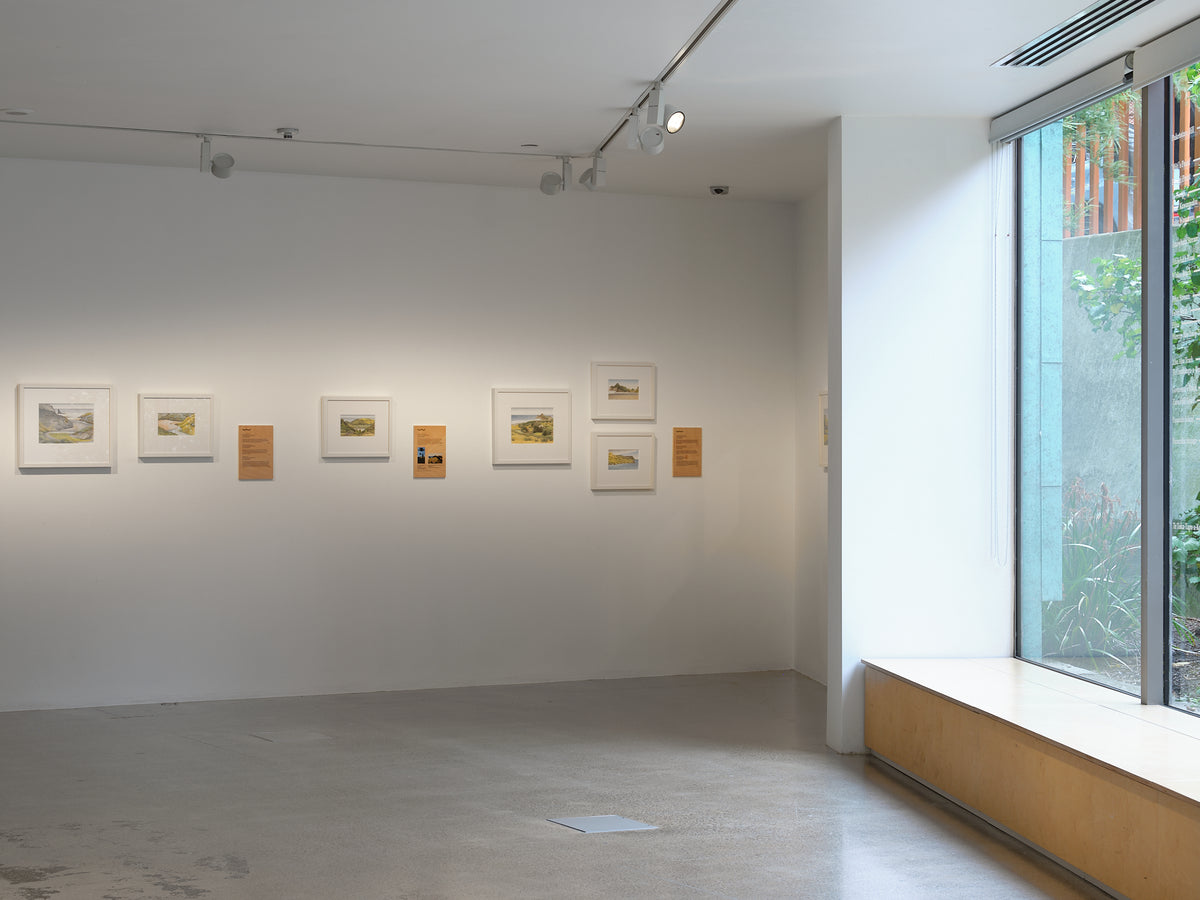 Don Binney: Drawing the Waitākere Coast exhibition photo