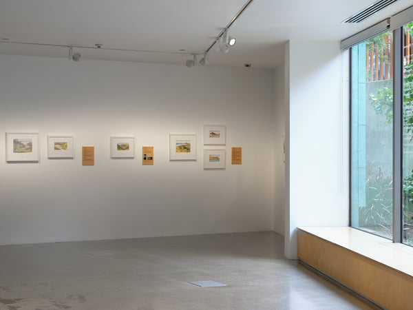 Don Binney: Drawing the Waitākere Coast exhibition photo