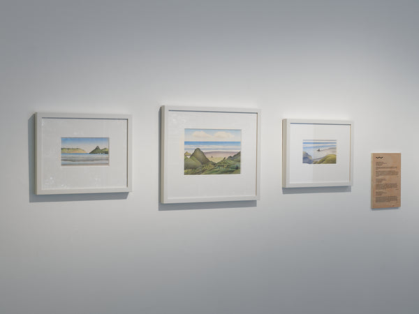 Don Binney: Drawing the Waitākere Coast exhibition photo