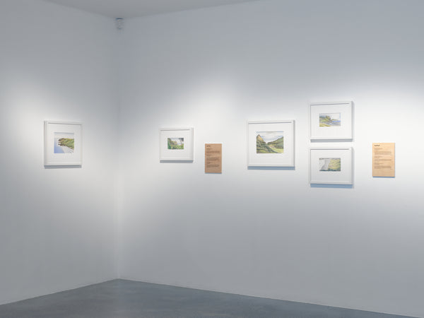 Don Binney: Drawing the Waitākere Coast exhibition photo