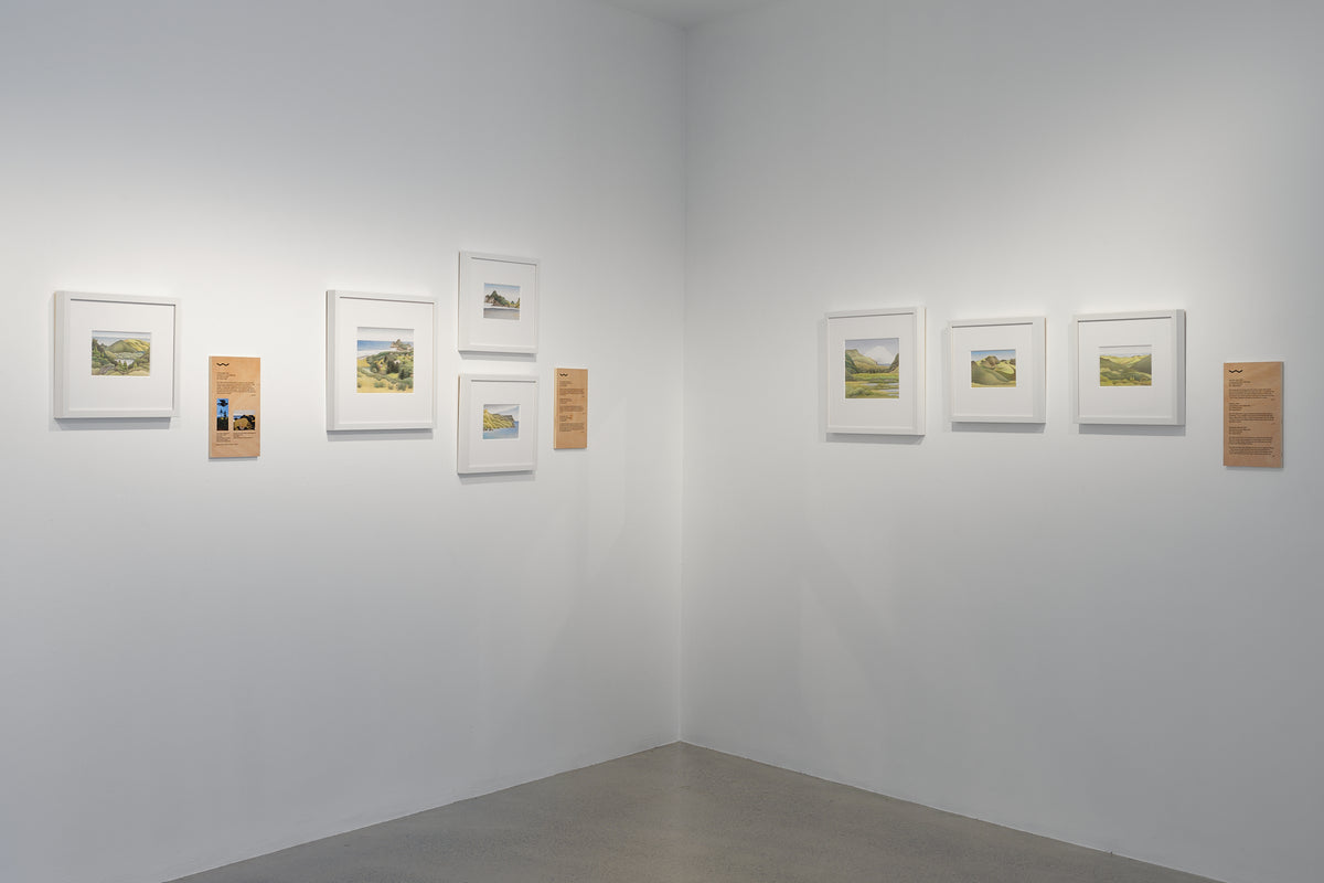 Don Binney: Drawing the Waitākere Coast exhibition photo