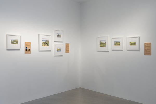 Don Binney: Drawing the Waitākere Coast exhibition photo