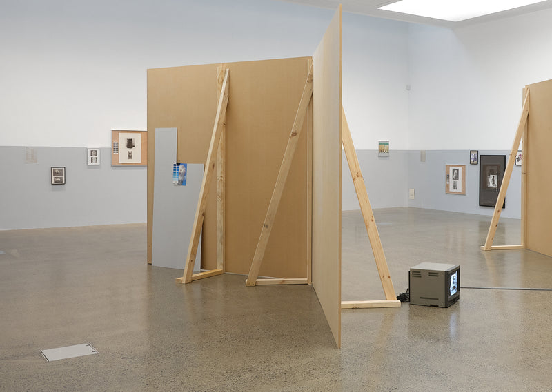 Ava Seymour: Domestic Wild