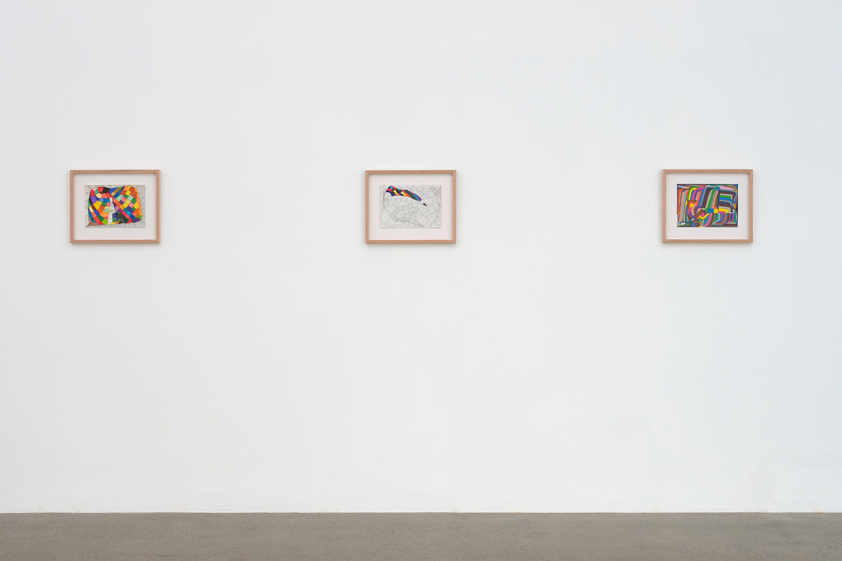 Susan Te Kahurangi King: Untitled exhibition photo