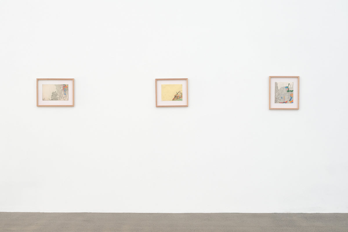 Susan Te Kahurangi King: Untitled exhibition photo