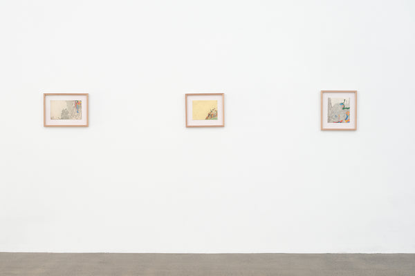 Susan Te Kahurangi King: Untitled exhibition photo