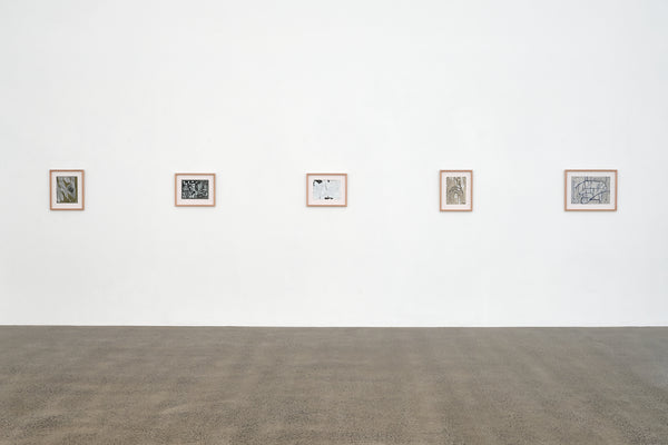 Susan Te Kahurangi King: Untitled exhibition photo