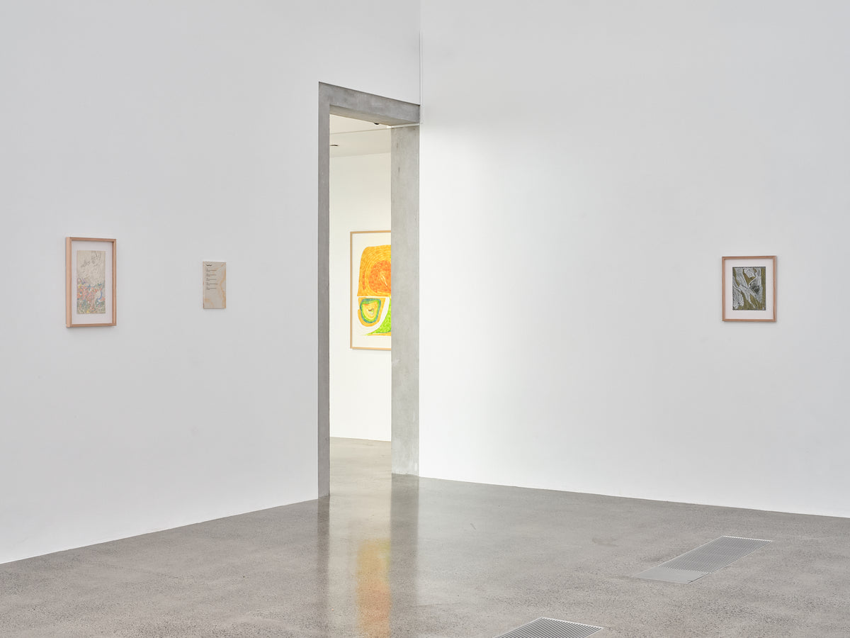 Susan Te Kahurangi King: Untitled exhibition photo