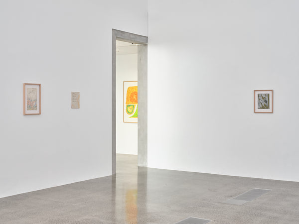 Susan Te Kahurangi King: Untitled exhibition photo