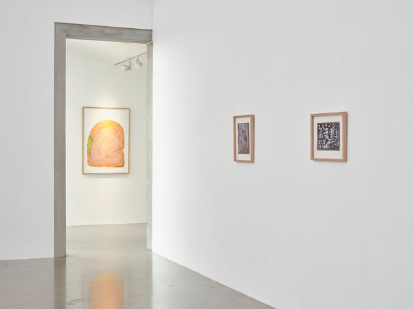 Susan Te Kahurangi King: Untitled exhibition photo