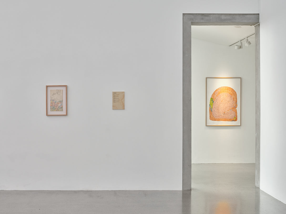 Susan Te Kahurangi King: Untitled exhibition photo