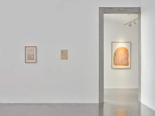 Susan Te Kahurangi King: Untitled exhibition photo