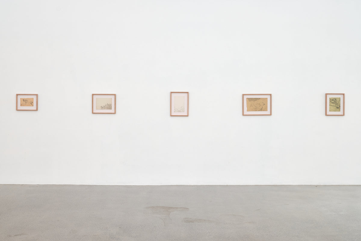 Susan Te Kahurangi King: Untitled exhibition photo