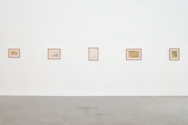 Susan Te Kahurangi King: Untitled exhibition photo