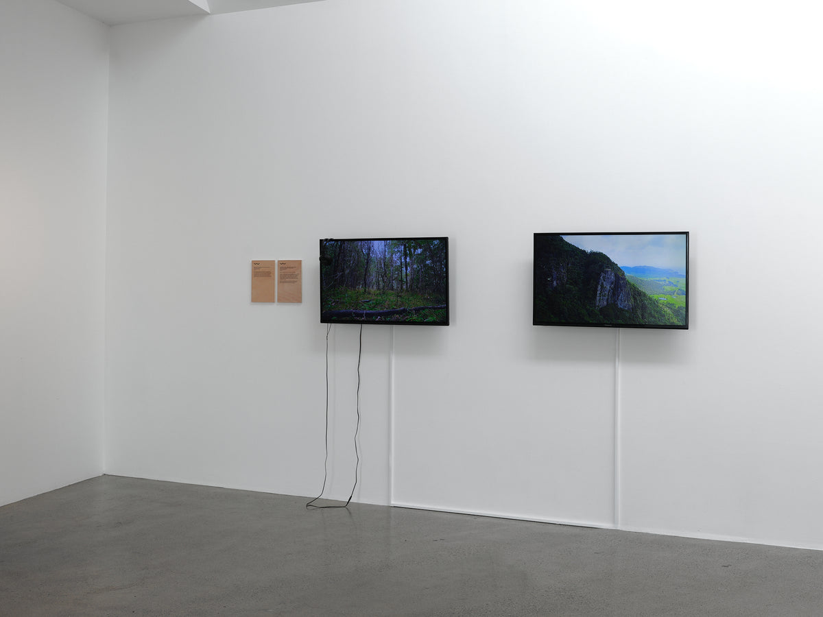 Ihirangaranga / Resonances of the Forest: Toi Taiao Whakatairanga exhibition photo