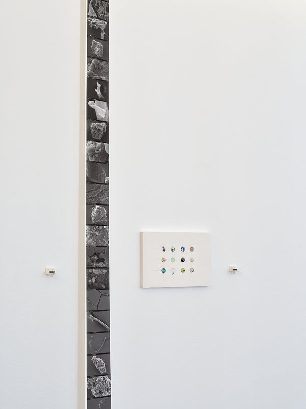 RELAY: AUT Toi Ataata Visual Arts exhibition photo