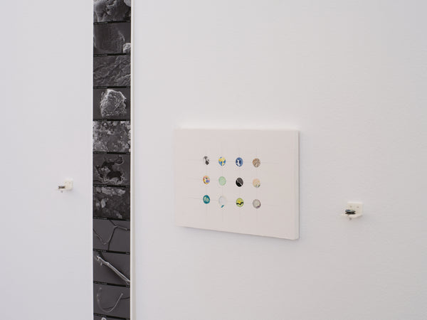 RELAY: AUT Toi Ataata Visual Arts exhibition photo