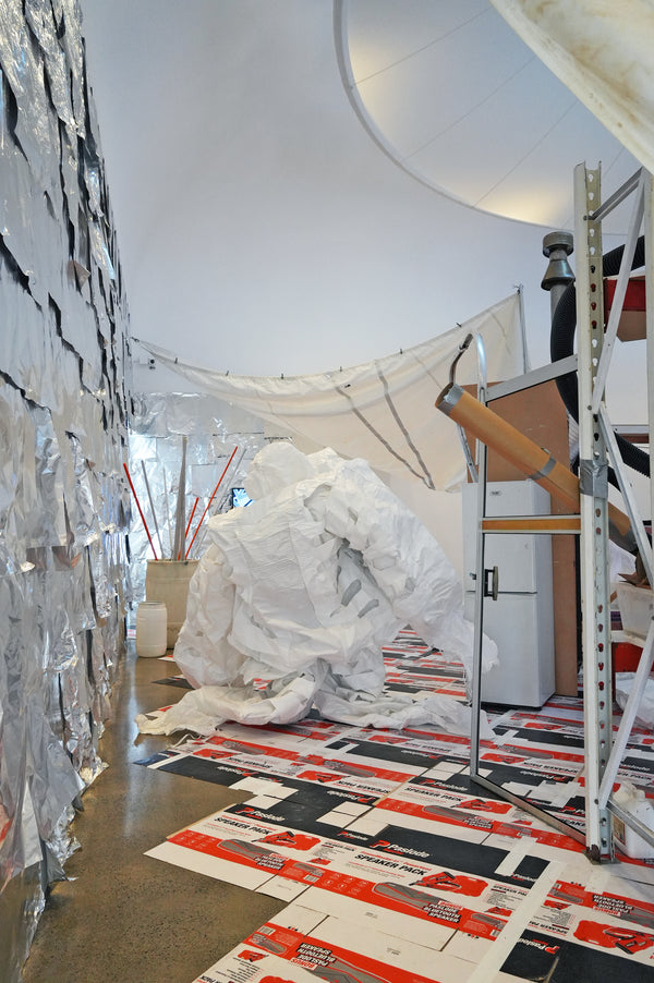 Justene Williams: Making Do Rhymes With Poo exhibition photo