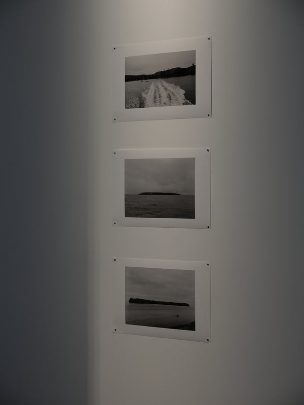 Benjamin Work And Brendan Kitto: Motutapu exhibition photo