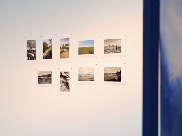 Benjamin Work And Brendan Kitto: Motutapu exhibition photo