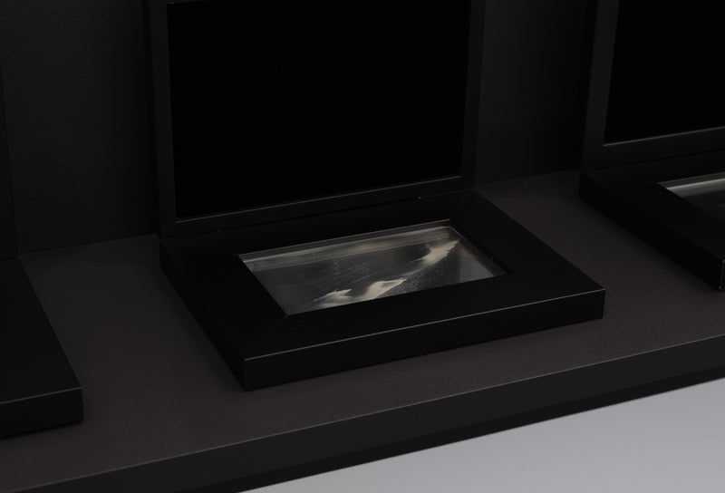 On the Last Afternoon: Disrupted Ecologies and the Work of Joyce Campbell