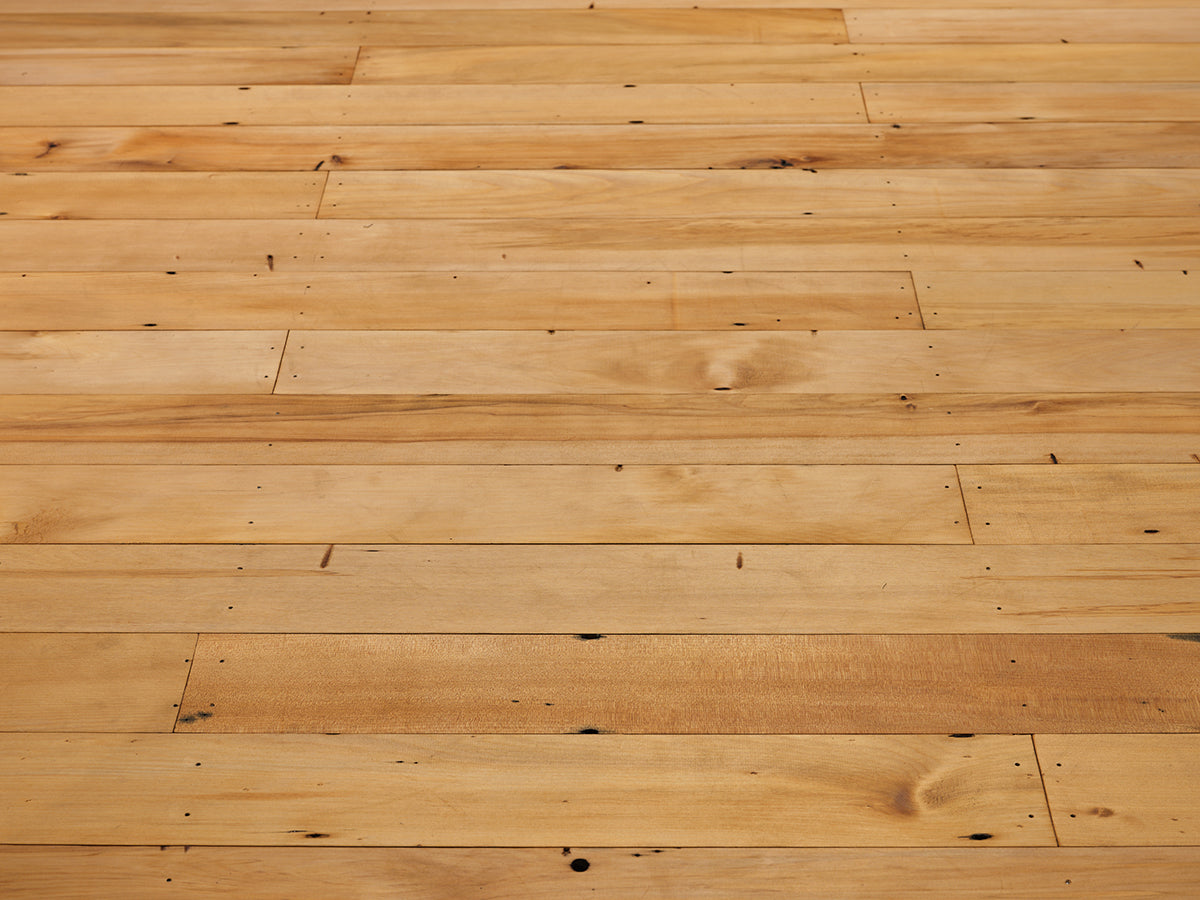 The thrum of the tide exhibition photo